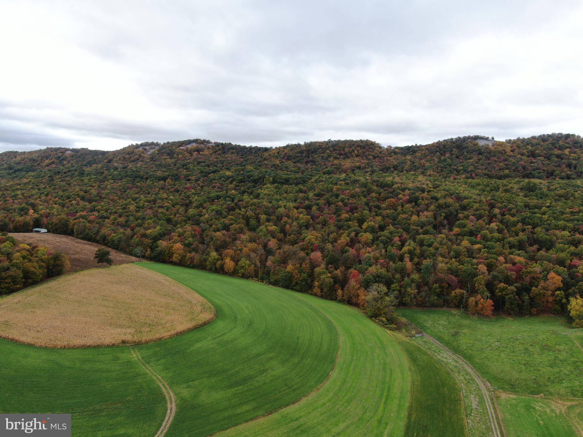 Shade Gap, PA 17255,218+/- ACRES TANNERY RD