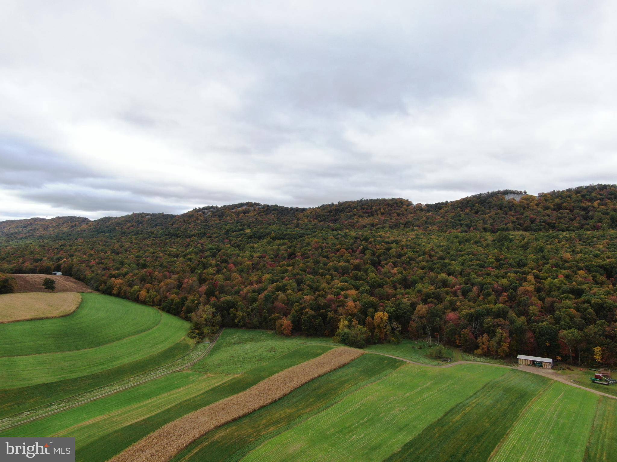 Shade Gap, PA 17255,218+/- ACRES TANNERY RD