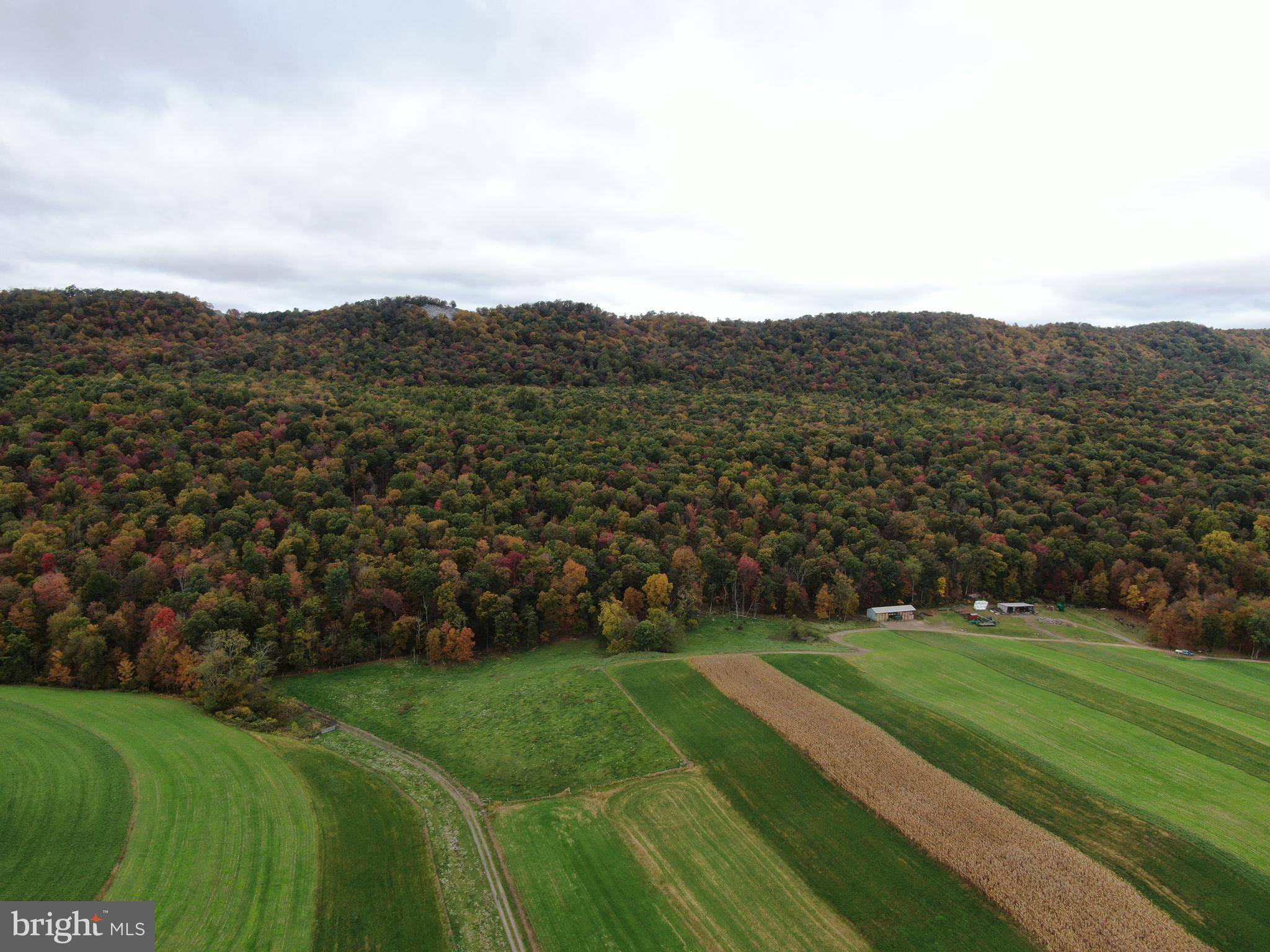 Shade Gap, PA 17255,218+/- ACRES TANNERY RD