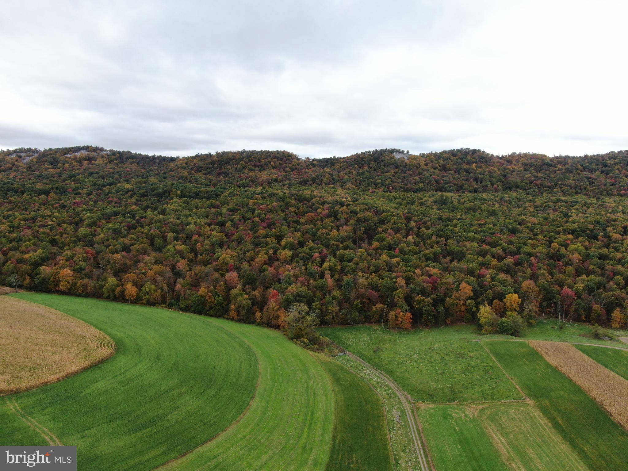 Shade Gap, PA 17255,218+/- ACRES TANNERY RD