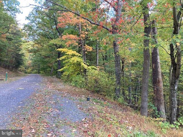 Basye, VA 22810,LOT 159, SECTION 11 BRENDA LN