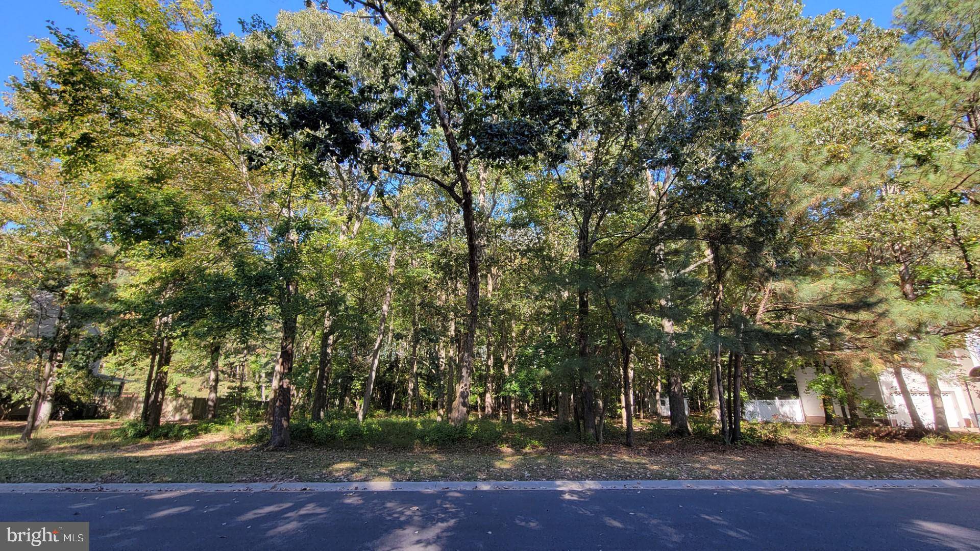 Pocomoke City, MD 21851,LOT 34 WHITE OAK LN