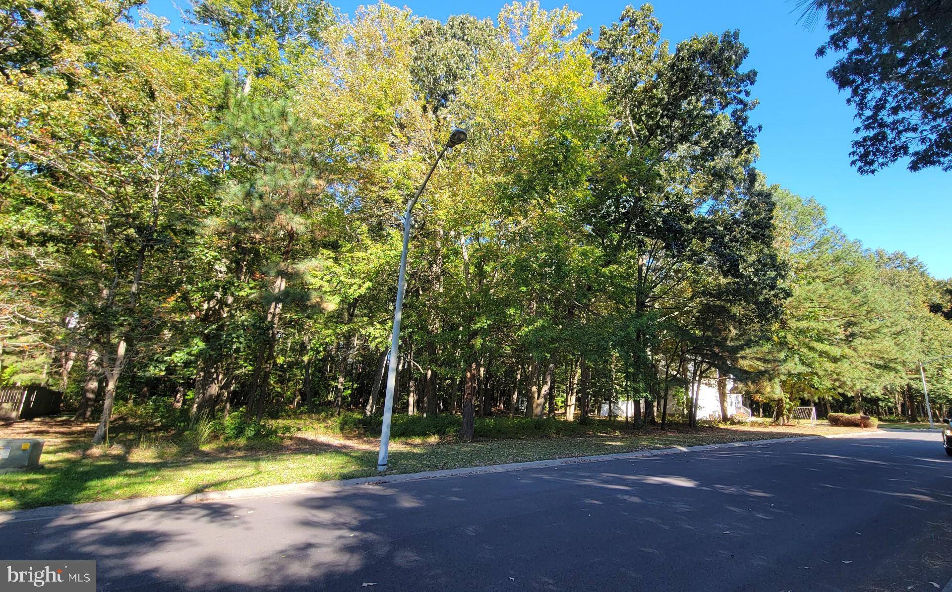 Pocomoke City, MD 21851,LOT 34 WHITE OAK LN