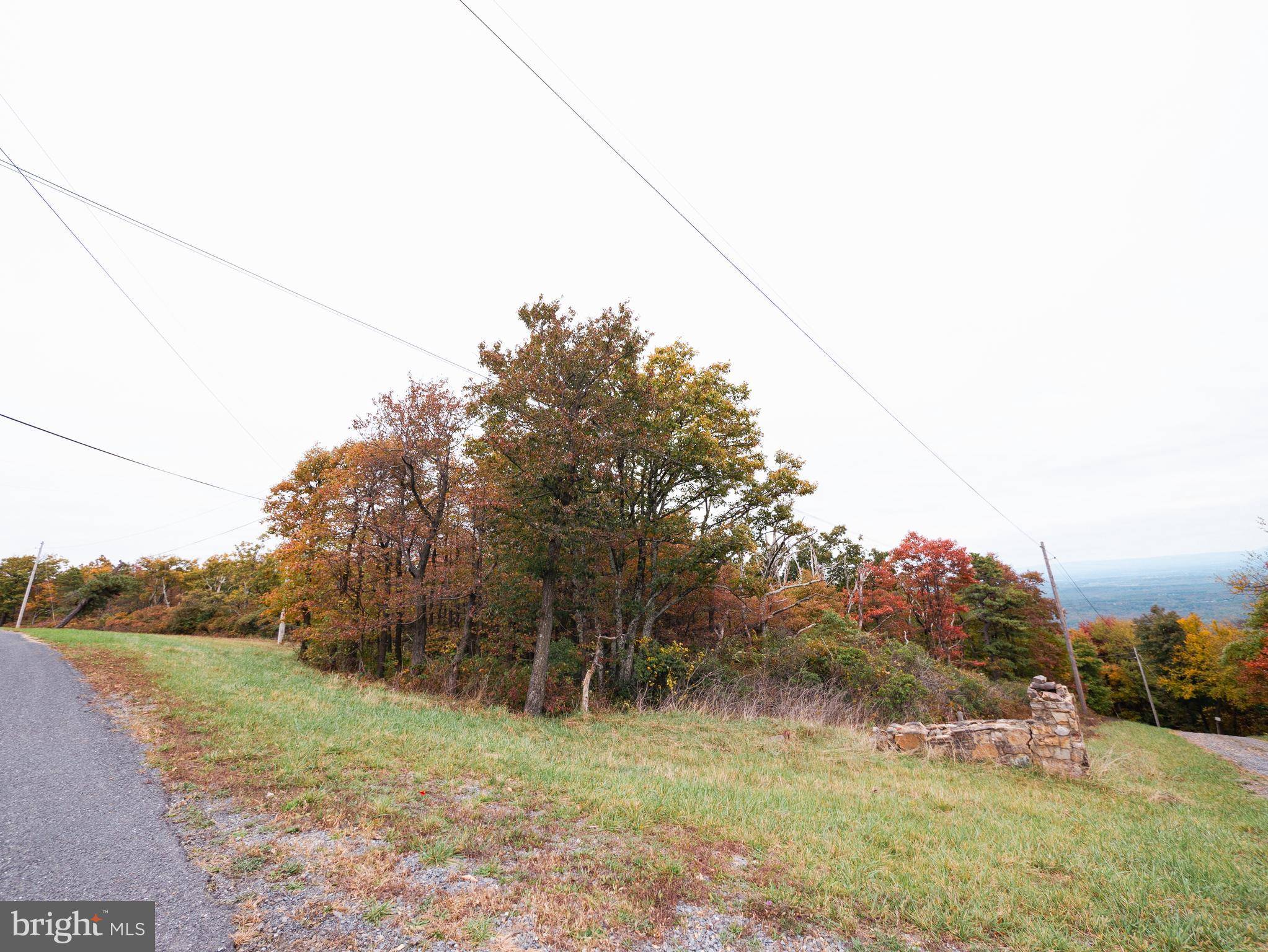 Winchester, VA 22602,LOT 211 ROCKWOOD TRL