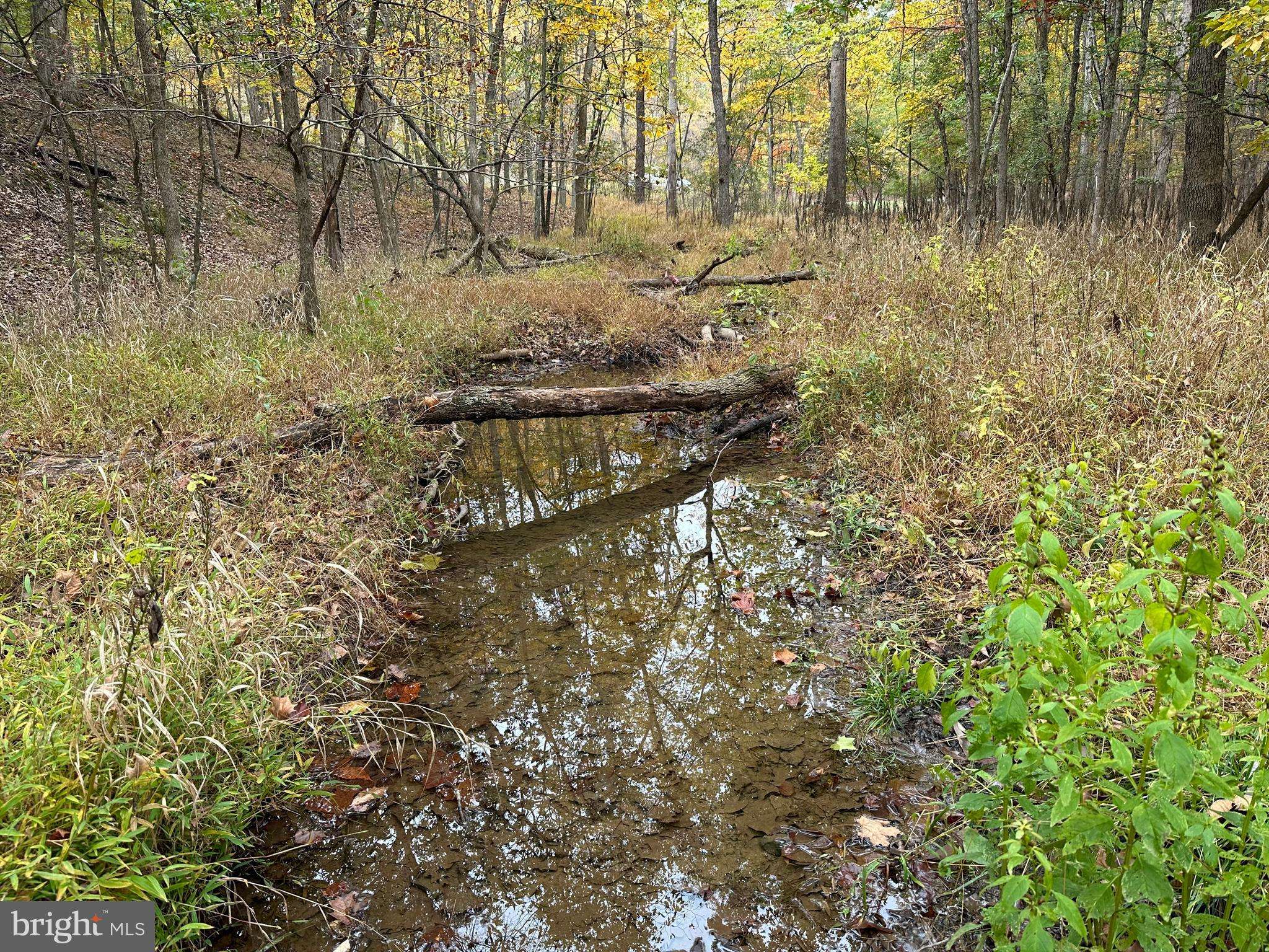 Fort Ashby, WV 26719,5 ACRES FOREBACK RD