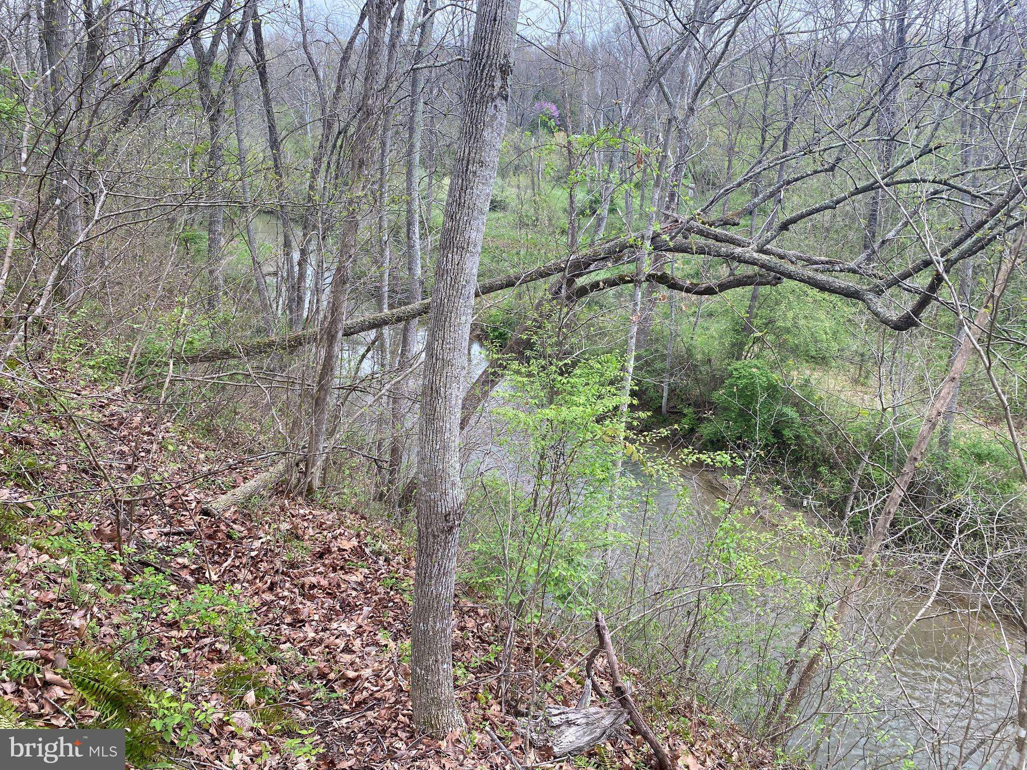 Bunker Hill, WV 25413,LOT B SPECKS RUN RD