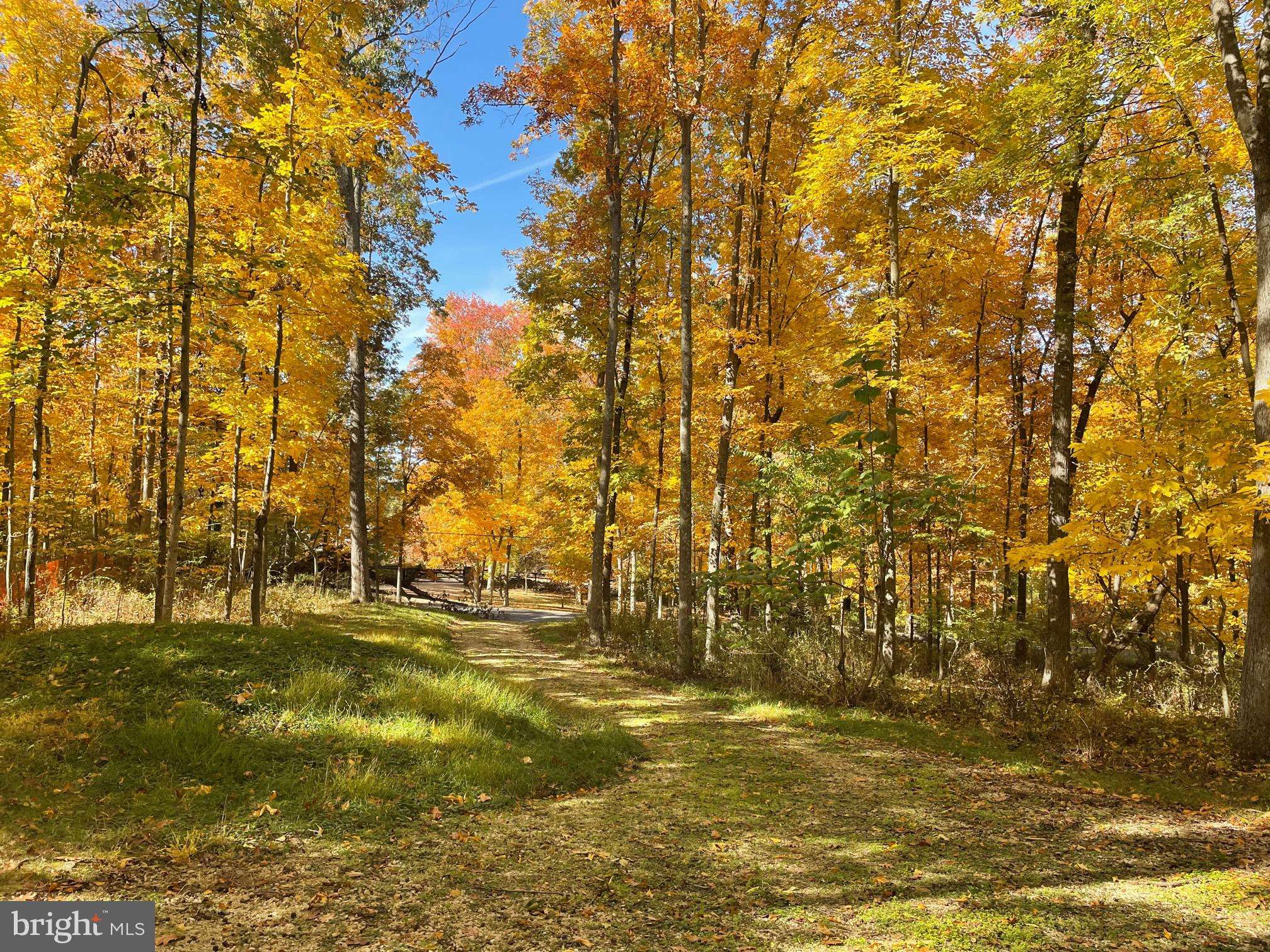 Upperville, VA 20184,ROKEBY