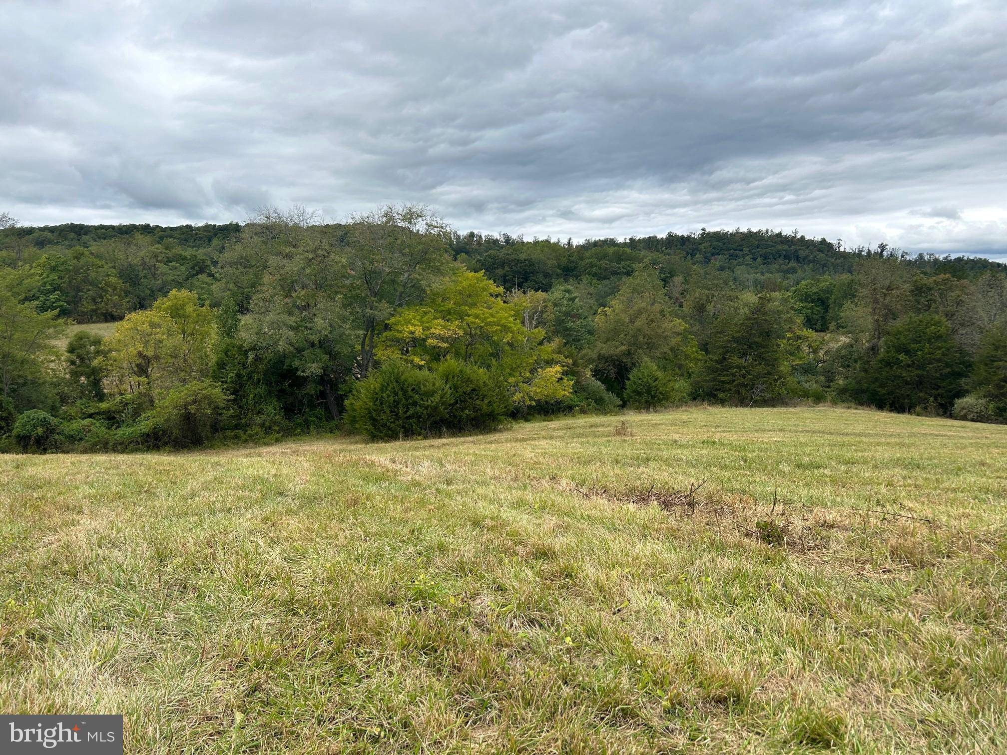 Culpeper, VA 22701,LOT 3C-2 MOSES PL