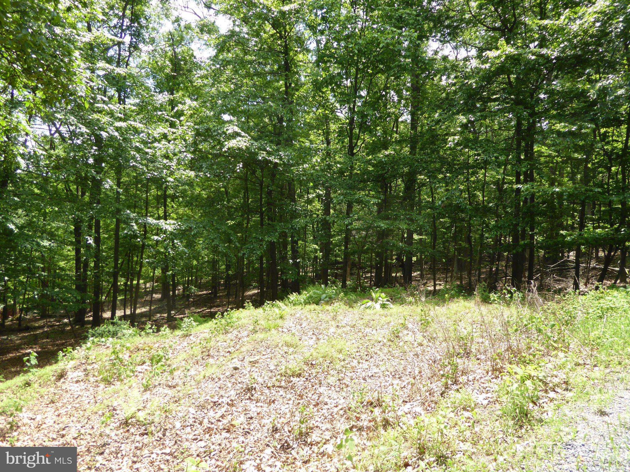 Paw Paw, WV 25434,LOT 39 WILD APPLE LN