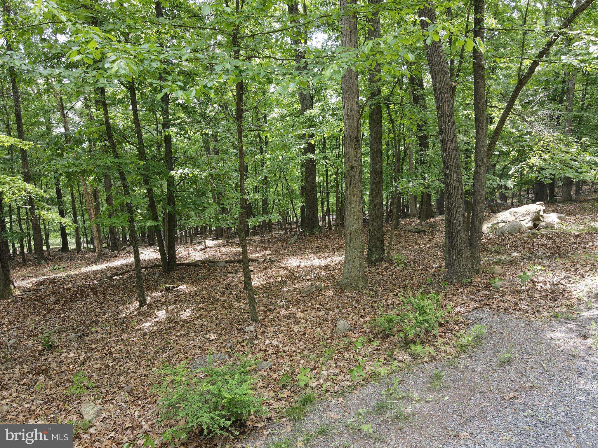 Paw Paw, WV 25434,LOT 39 WILD APPLE LN