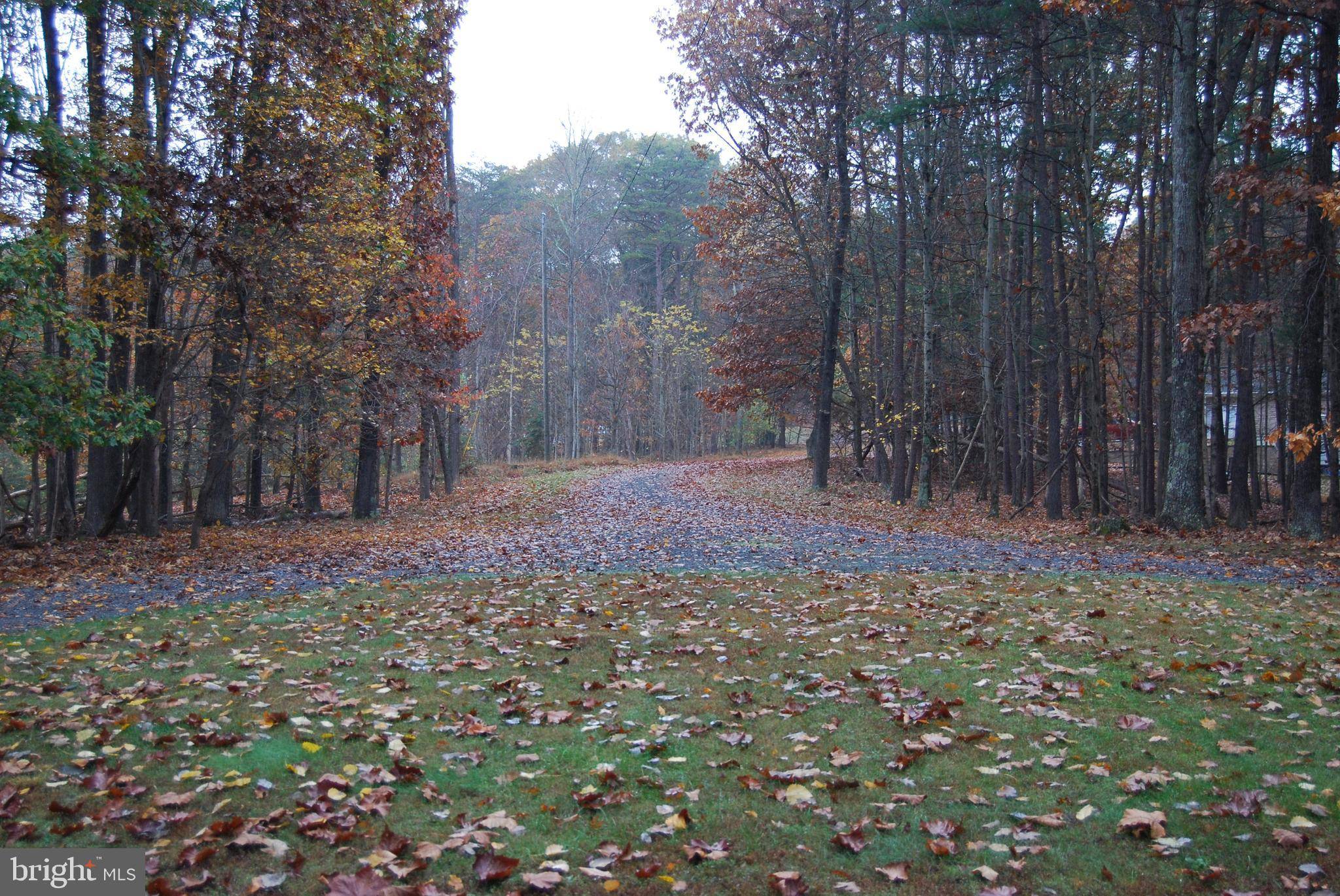 Berkeley Springs, WV 25411,LOT 12 TALL PINES LN