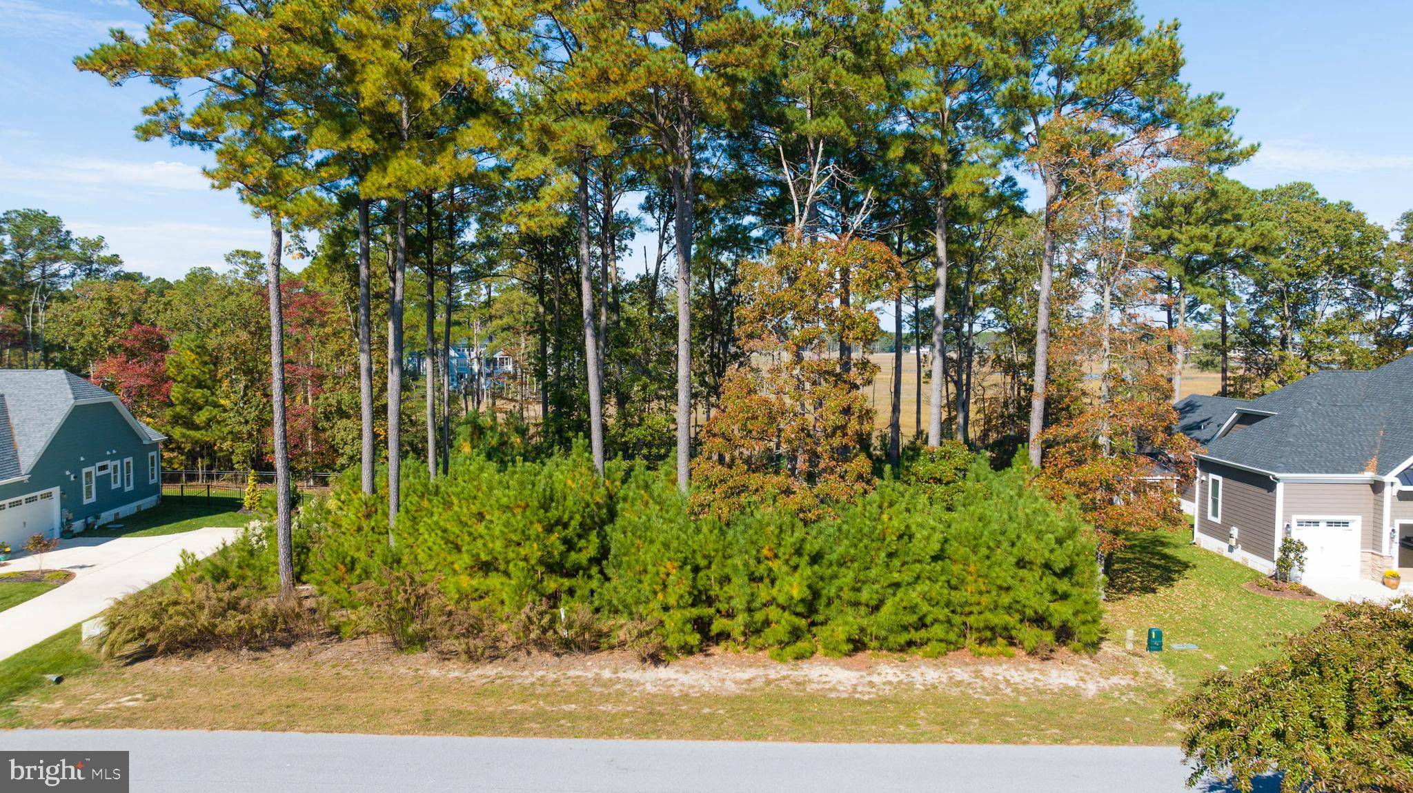 Lewes, DE 19958,31896 SHELL LANDING WAY #158