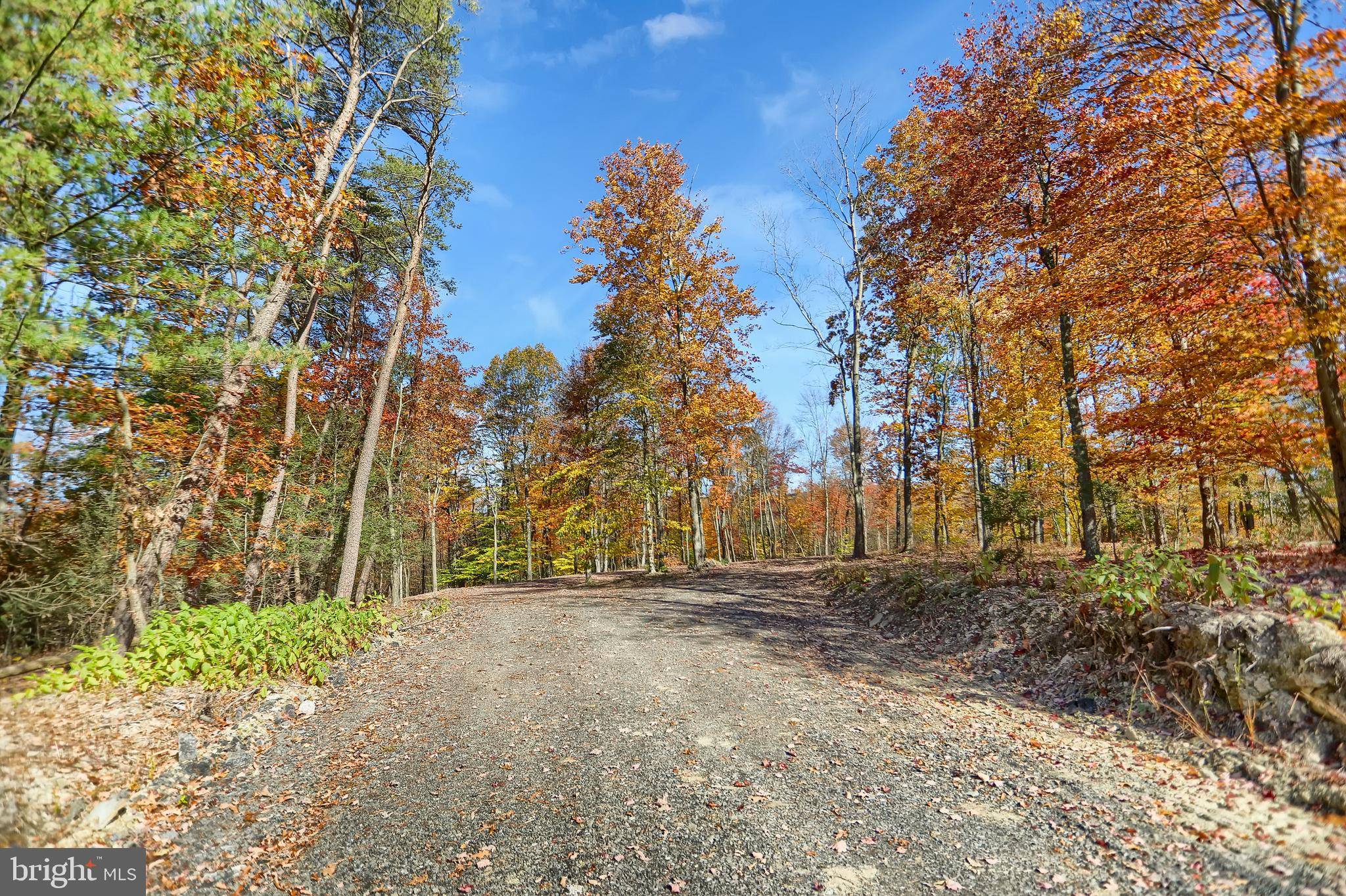 Avis, PA 17721,0 ROUTE 150