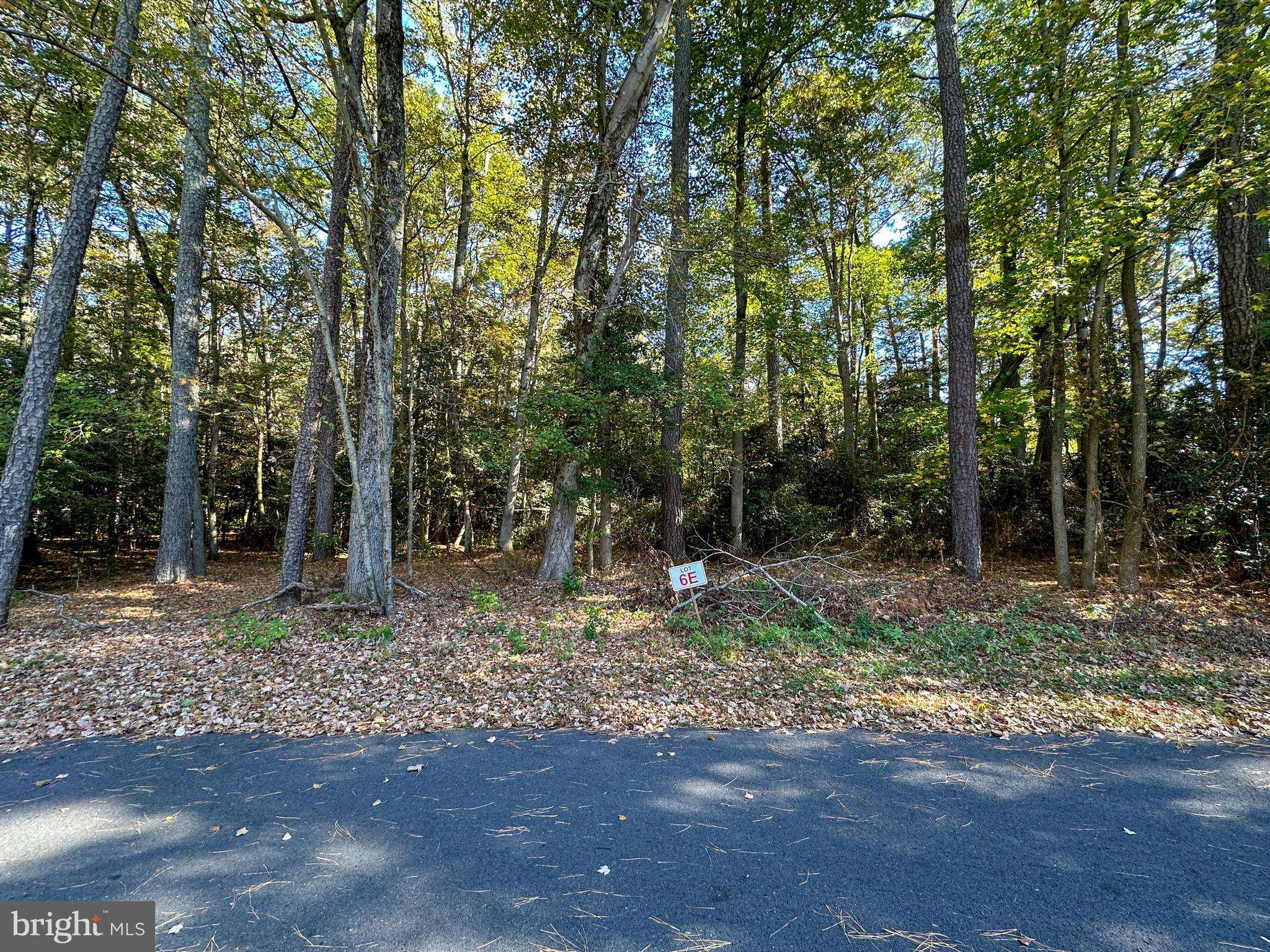 Laurel, DE 19956,0 HOLLY OAK DR #LOT#6E