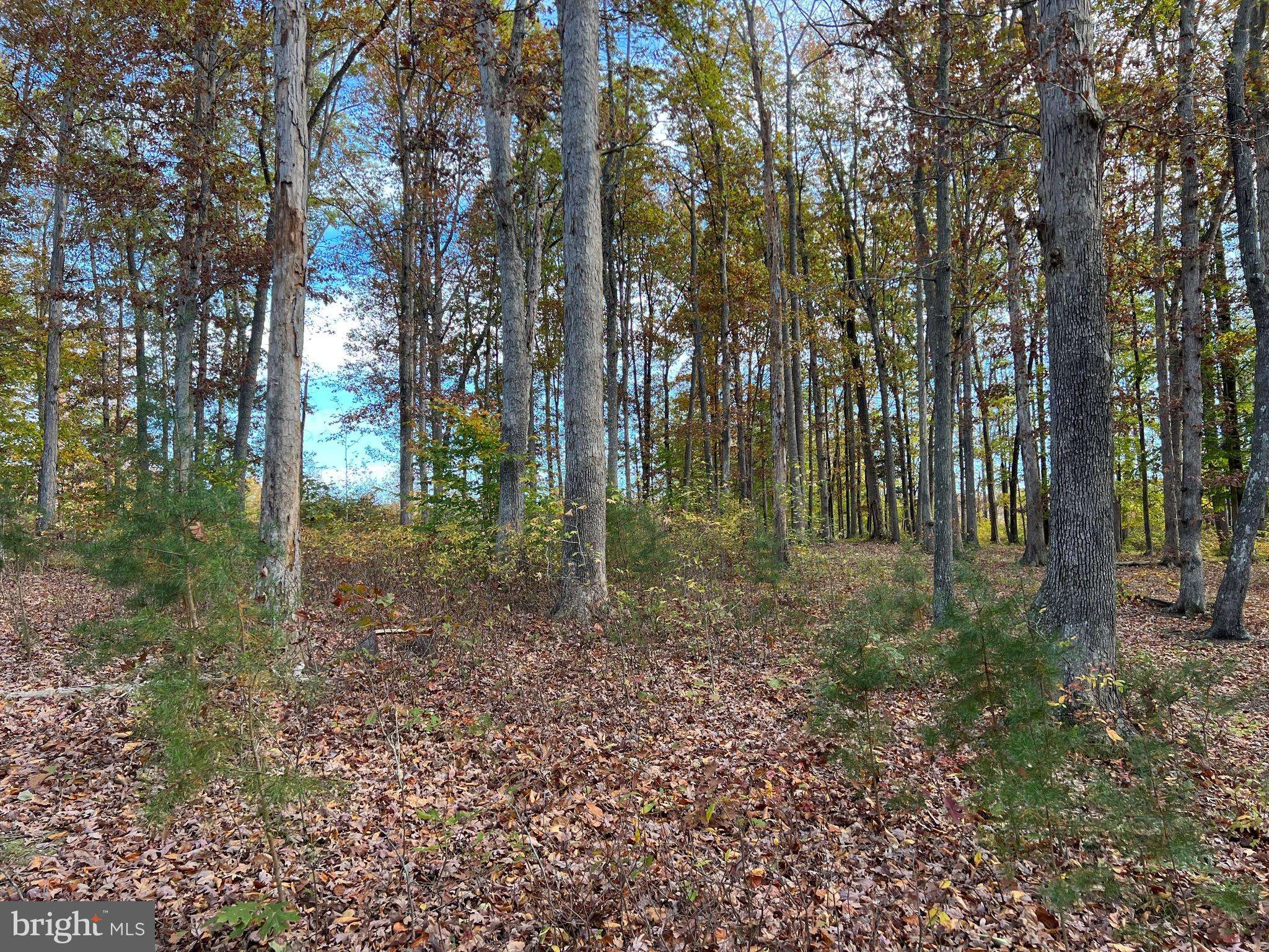 Bumpass, VA 23024,LOT 9 RAINBOW RIDGE