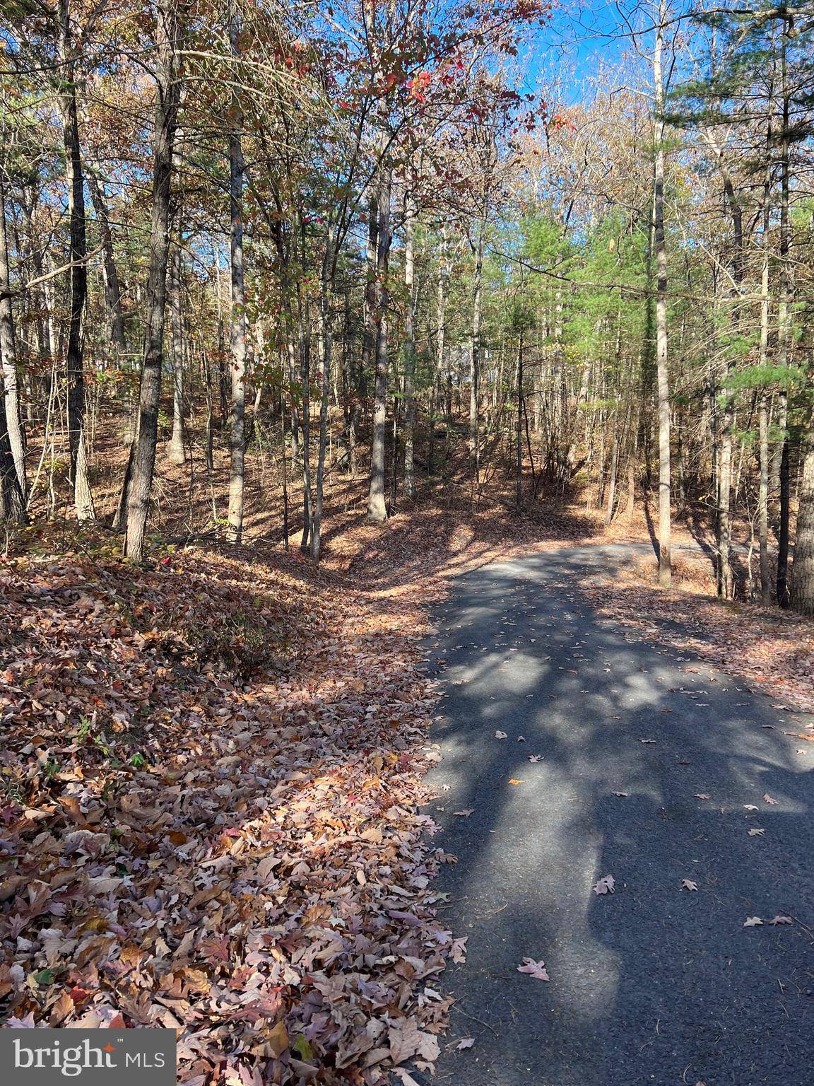 Mount Jackson, VA 22842,0 IRONWOOD LOT 255 RD