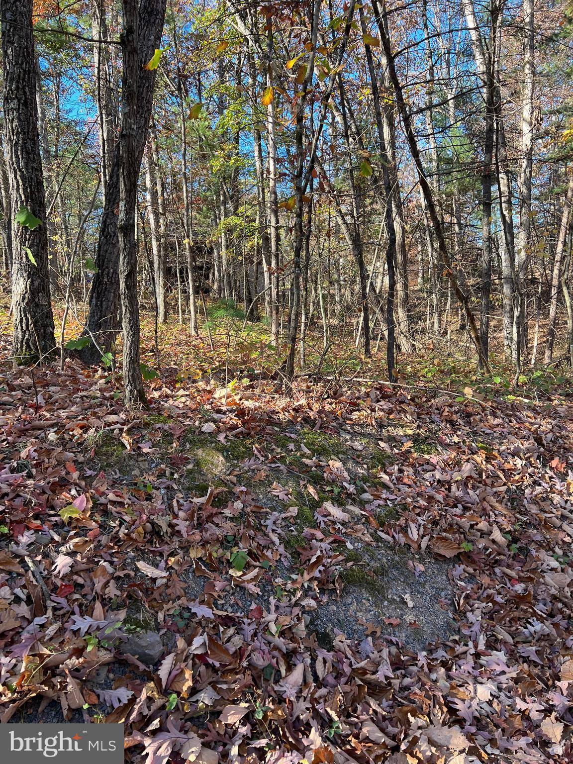 Mount Jackson, VA 22842,0 IRONWOOD LOT 255 RD