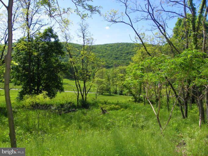 New Creek, WV 26743,NANCY HANKS LOT #1