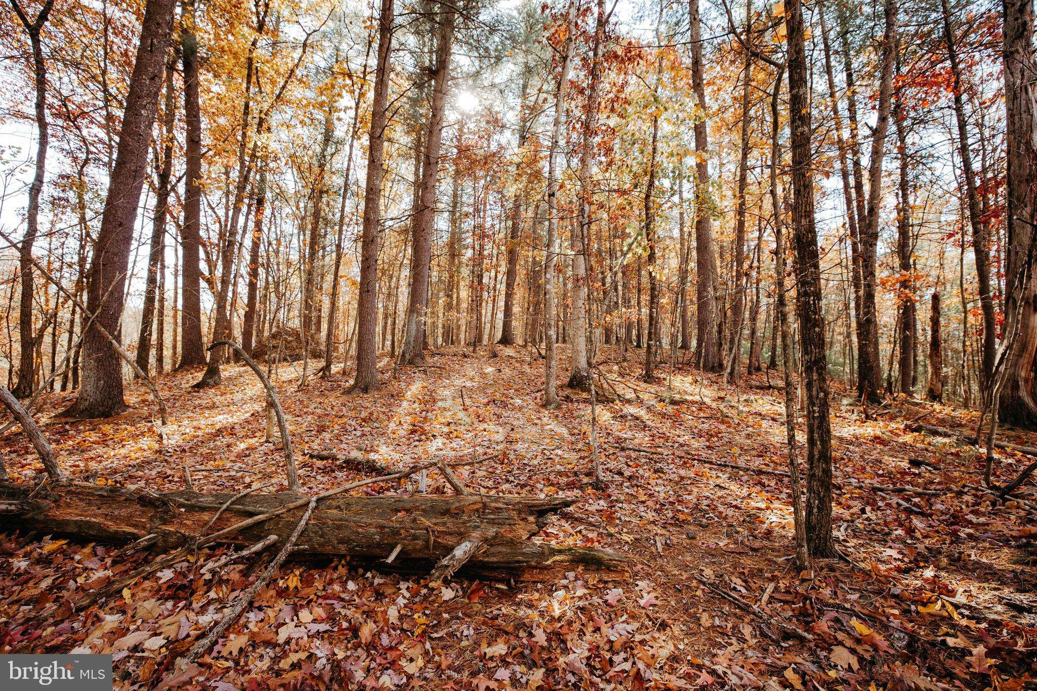 Broadway, VA 22815,RUNIONS CREEK RD