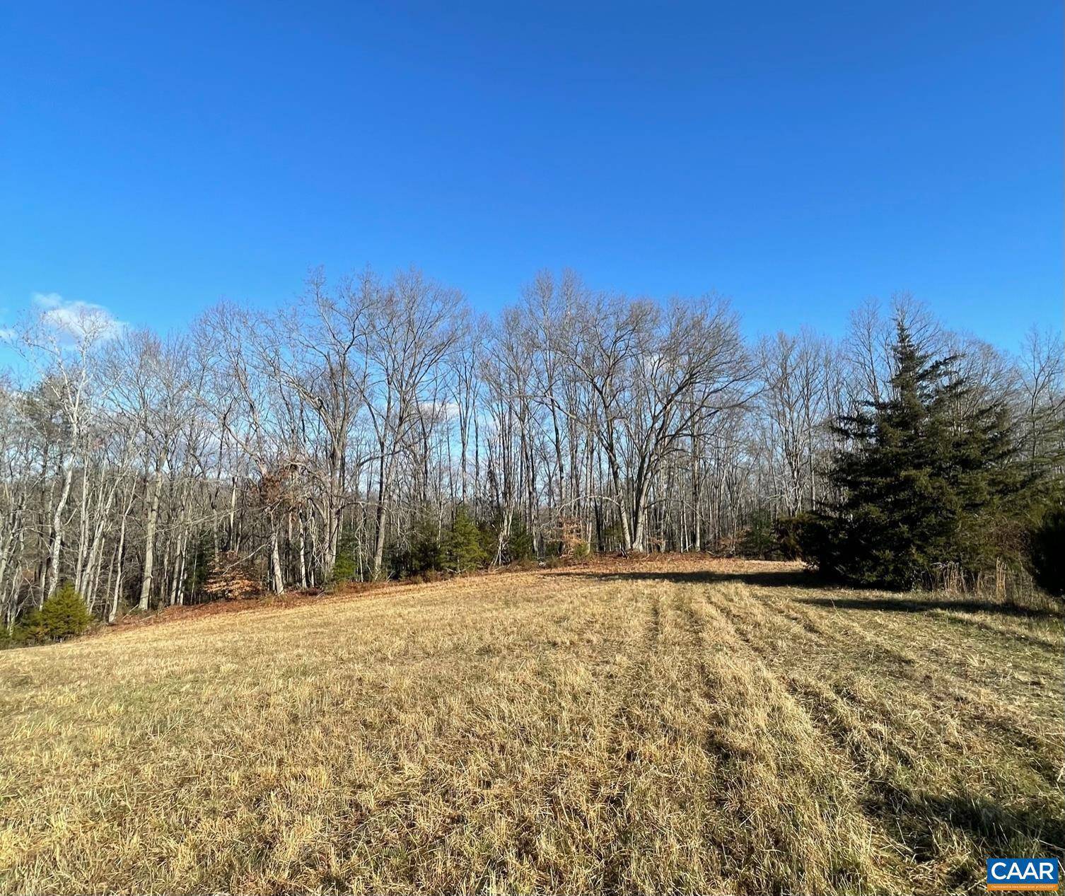 Scottsville, VA 22945,TBD HATTON FERRY RD