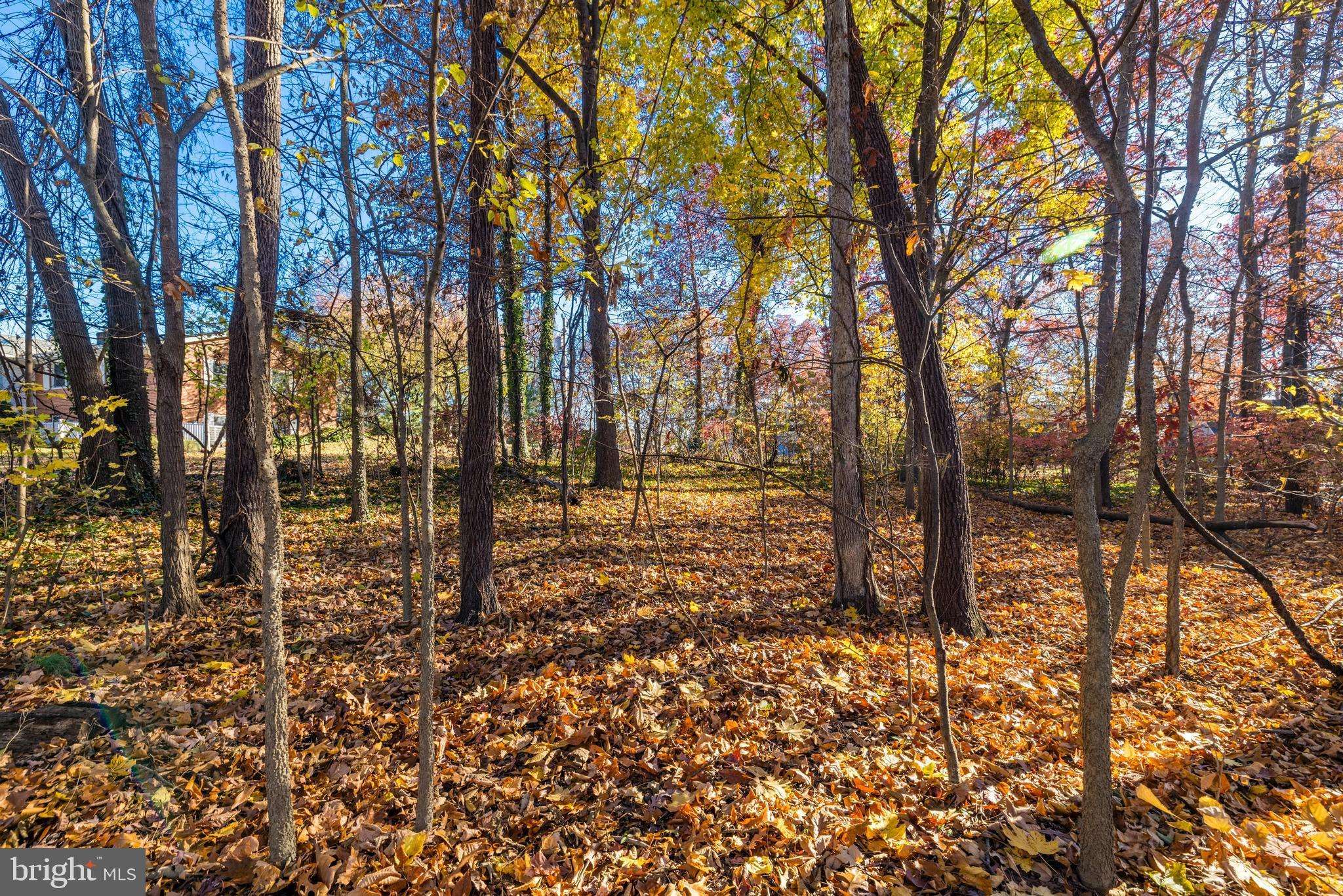 Purcellville, VA 20132,EAST D