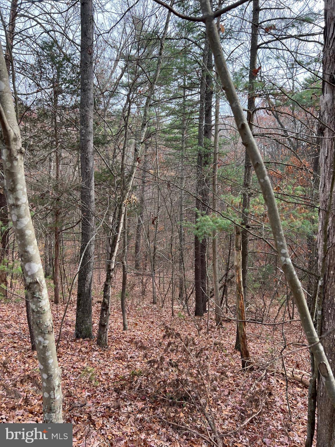 Mount Jackson, VA 22842,LOT 70 ALPINE WAY N