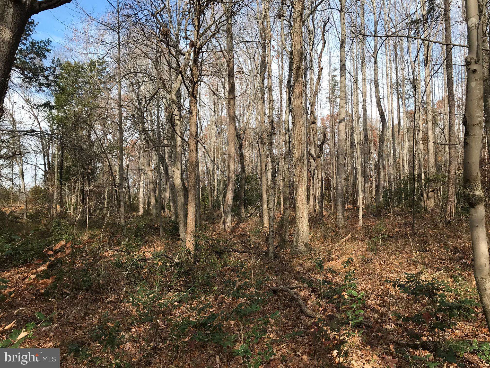 Unionville, VA 22567,LOT 32 ORANGE SPRINGS RD