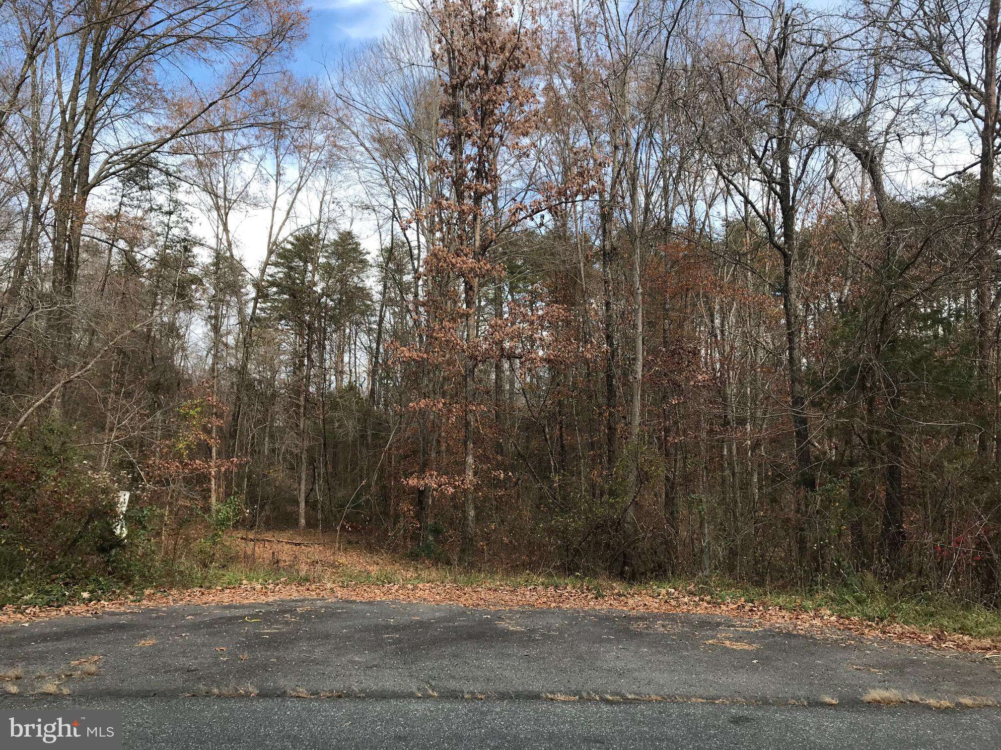 Unionville, VA 22567,LOT 32 ORANGE SPRINGS RD