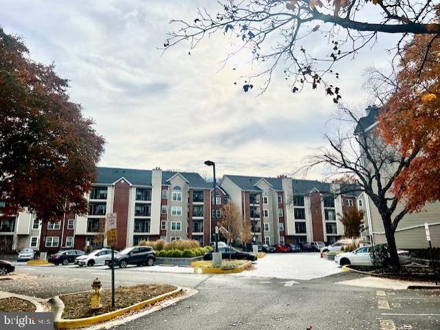 Alexandria, VA 22302,3304 WYNDHAM CIR #236