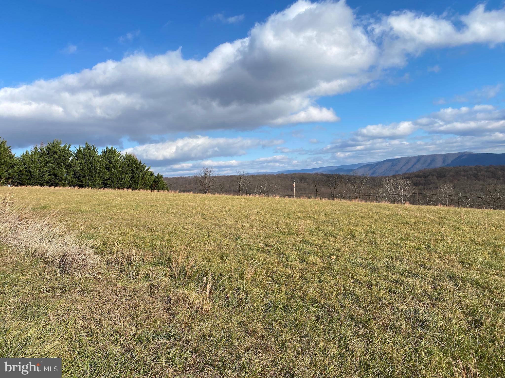 Petersburg, WV 26847,LOT 2 BOGART DRIVE