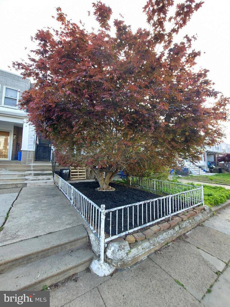 Philadelphia, PA 19142,2436 S EDGEWOOD ST