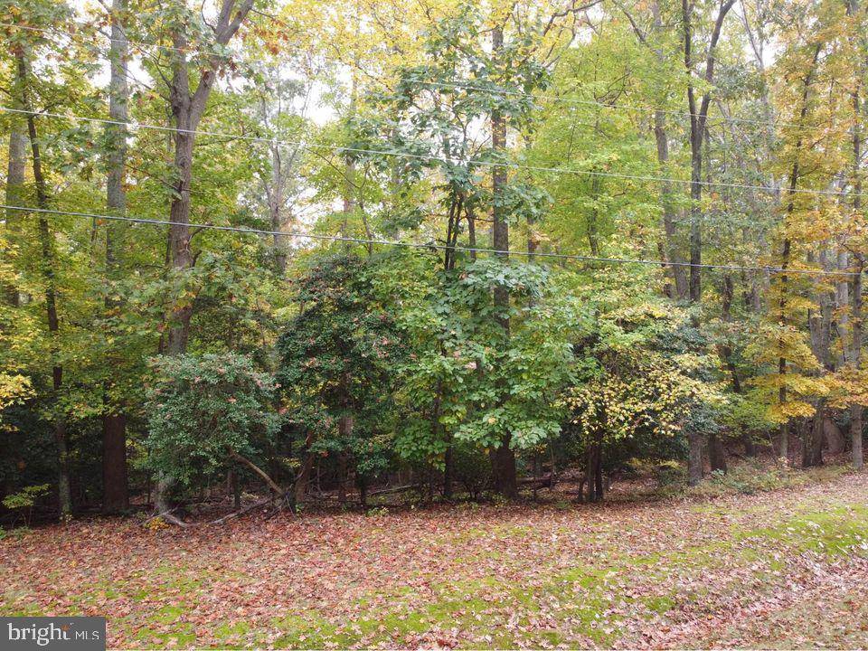 Montross, VA 22520,LOT #54 LAKE CT