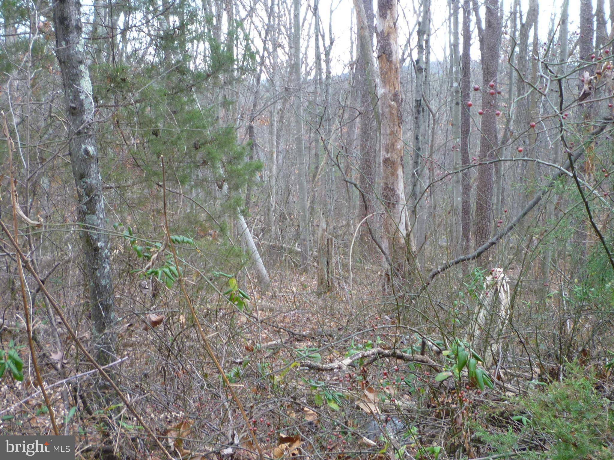 Mount Jackson, VA 22842,WILLOW LANE - LOT 108