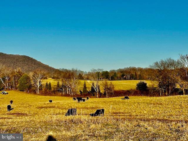 Marshall, VA 20115,PASTURE LANE