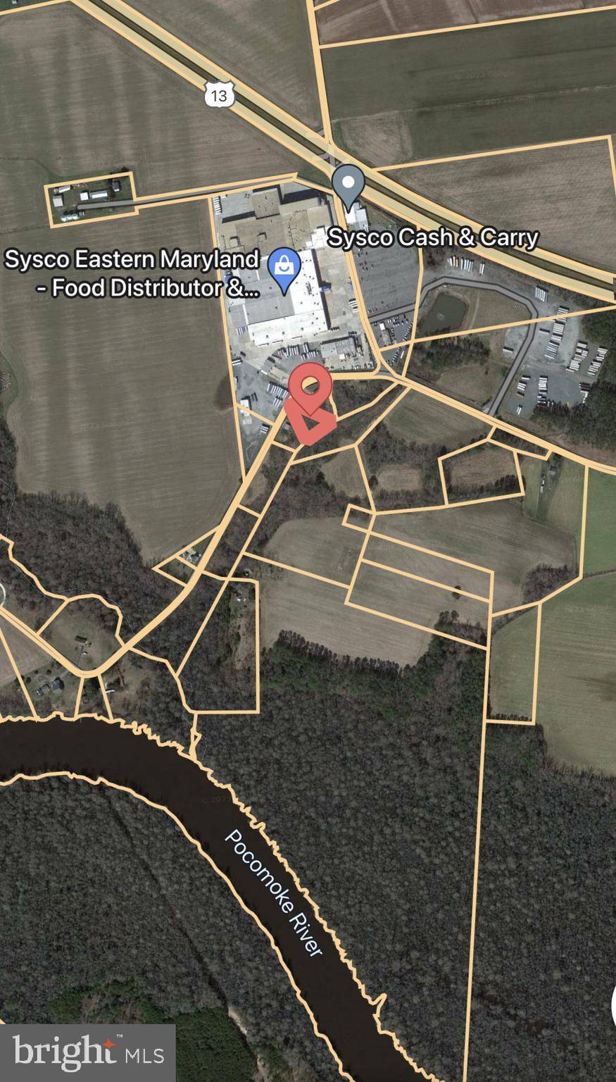 Pocomoke, MD 21851,PARCEL 22 PEACH ORCHARD RD