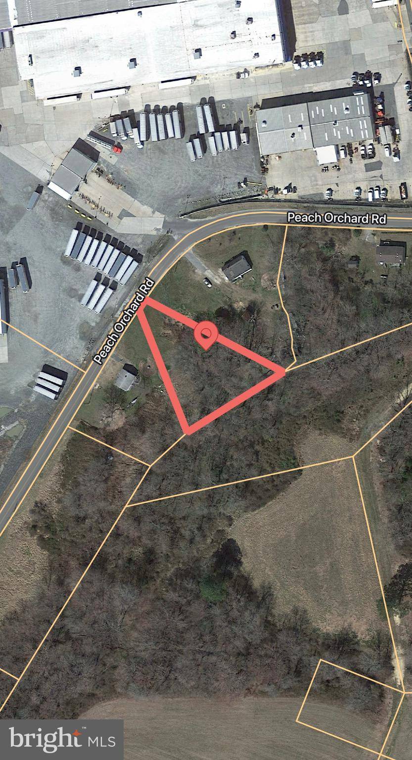 Pocomoke, MD 21851,PARCEL 22 PEACH ORCHARD RD