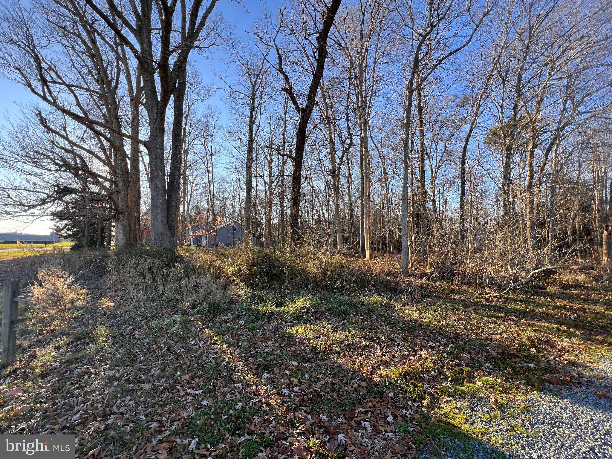 Dagsboro, DE 19939,LOT 1 N PINEY NECK RD