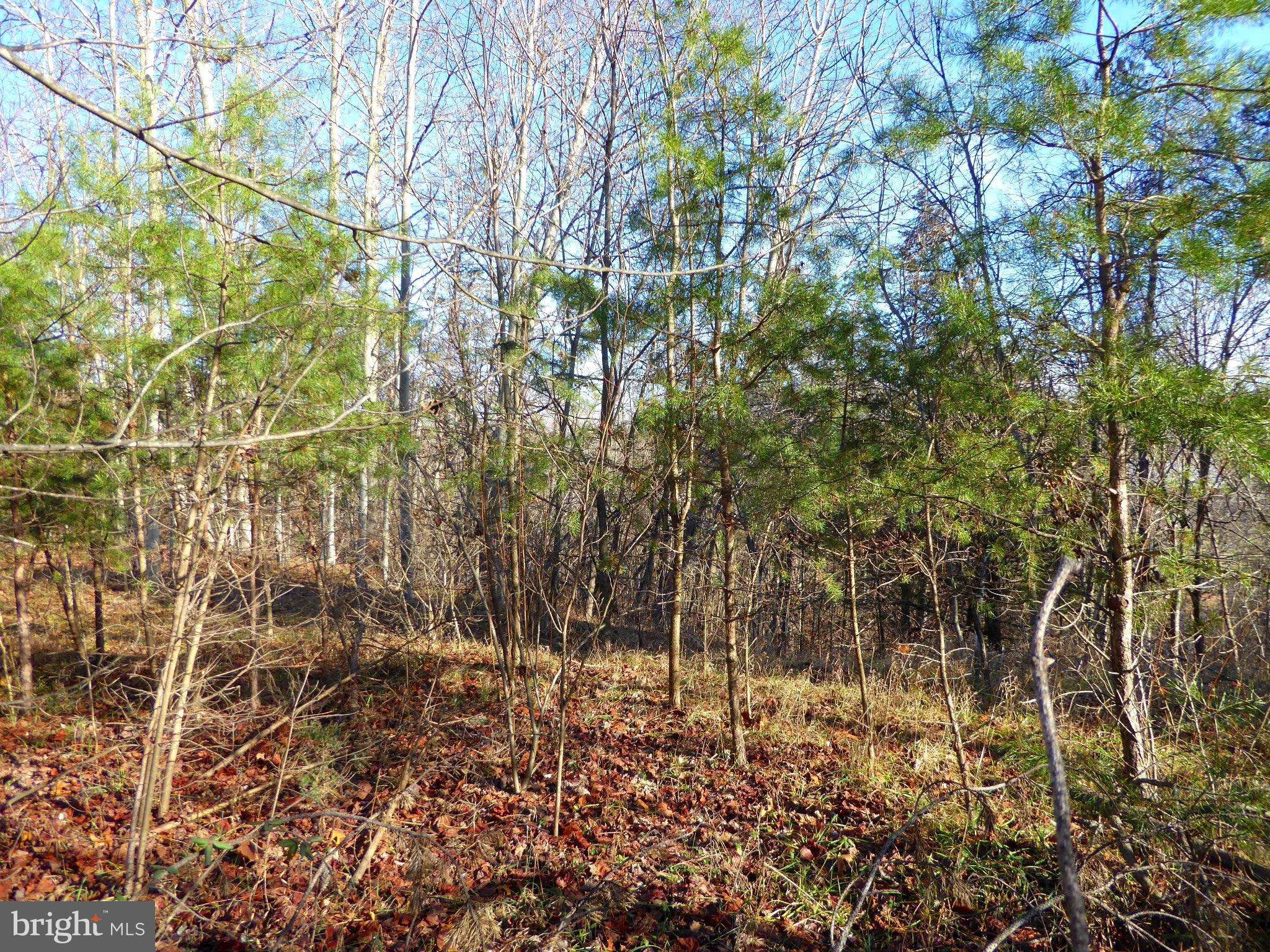 Augusta, WV 26704,LOT 15 WOODLAND MOUNTAIN TRL