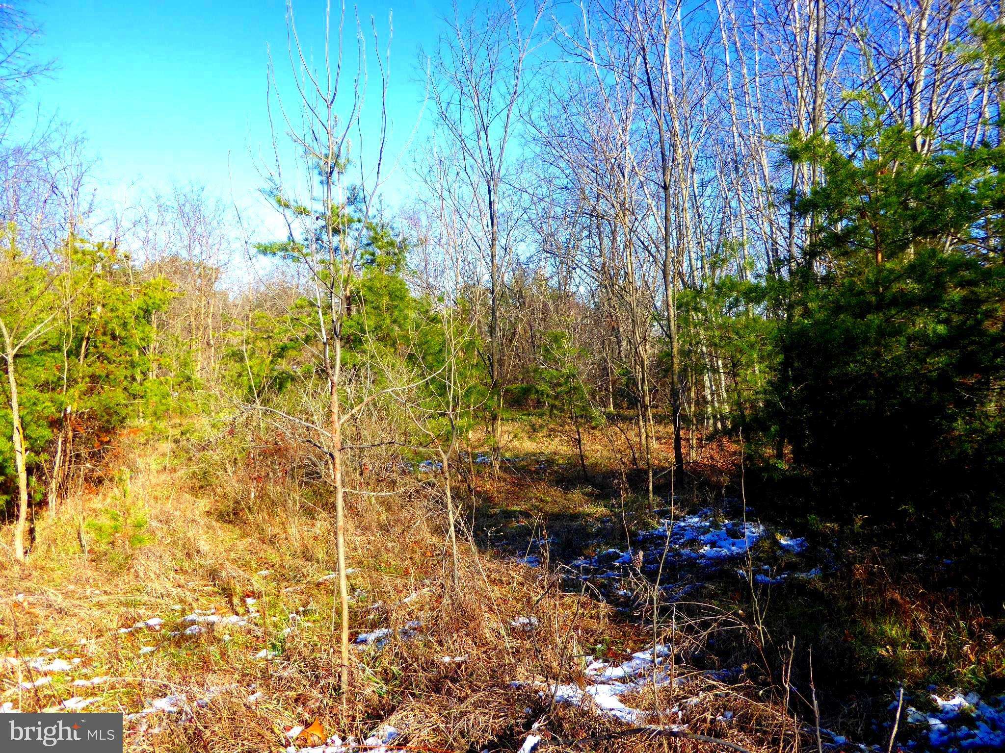 Augusta, WV 26704,LOT 15 WOODLAND MOUNTAIN TRL