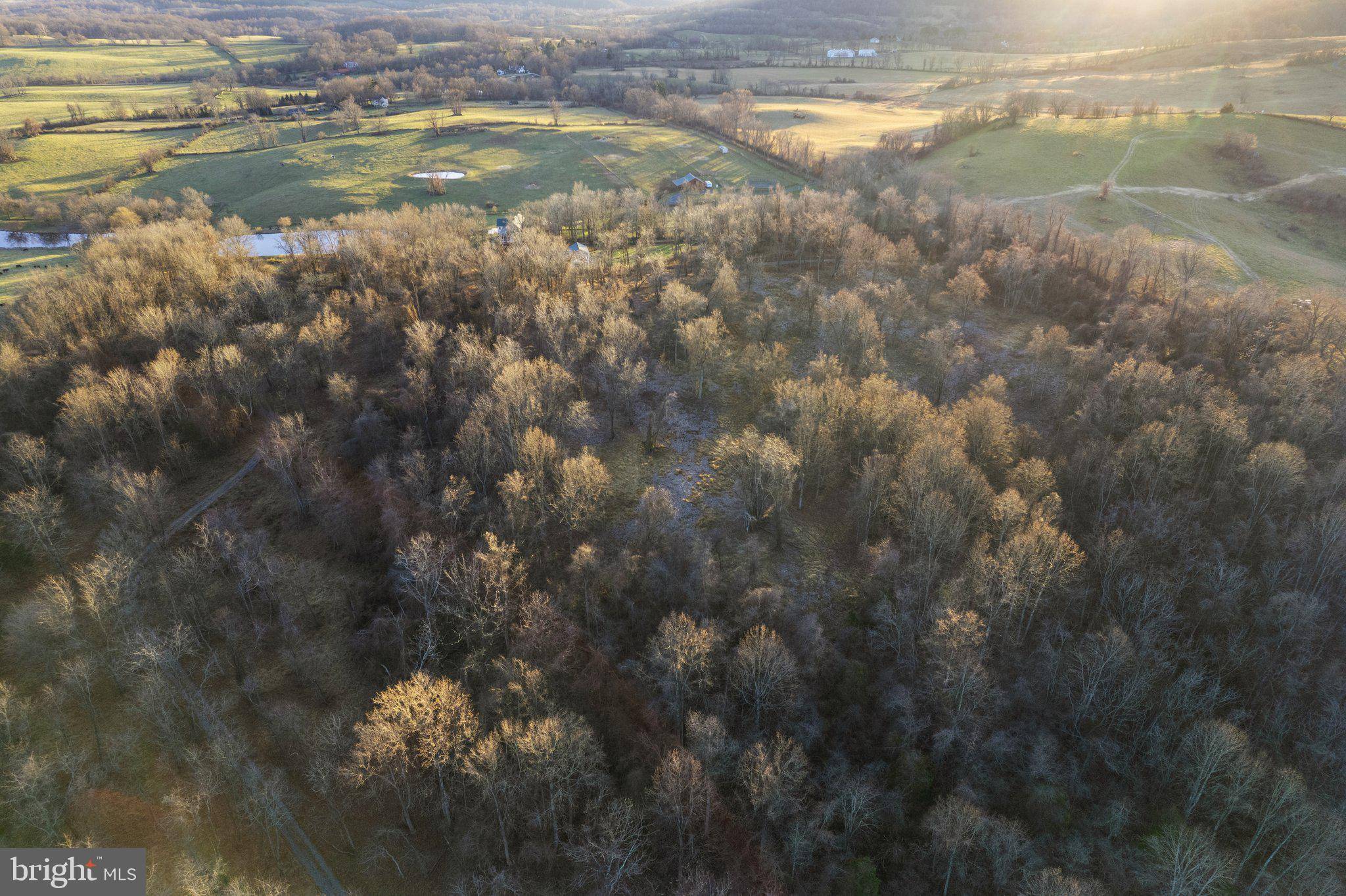 Delaplane, VA 20144,SCUFFLEBURG