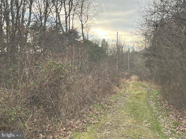 Berkeley Springs, WV 25411,LOT 4 MAJESTIC LANE