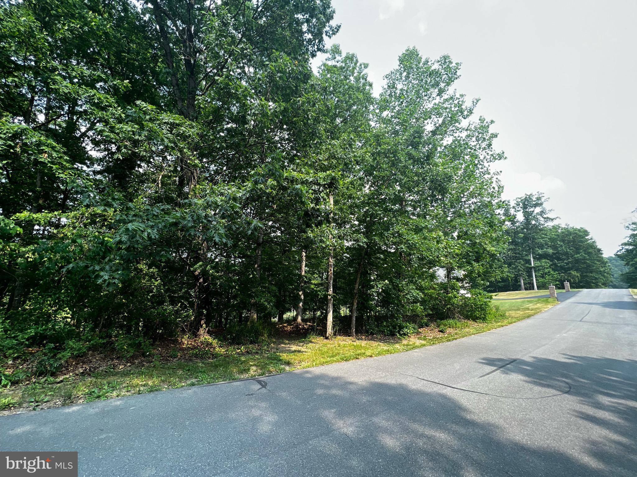 Ridgeley, WV 26753,LOT 67 N LAKEWOOD DR