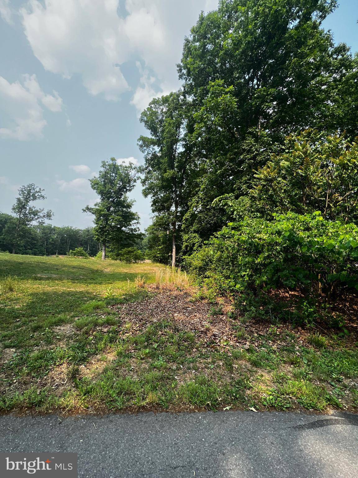 Ridgeley, WV 26753,LOT 67 N LAKEWOOD DR