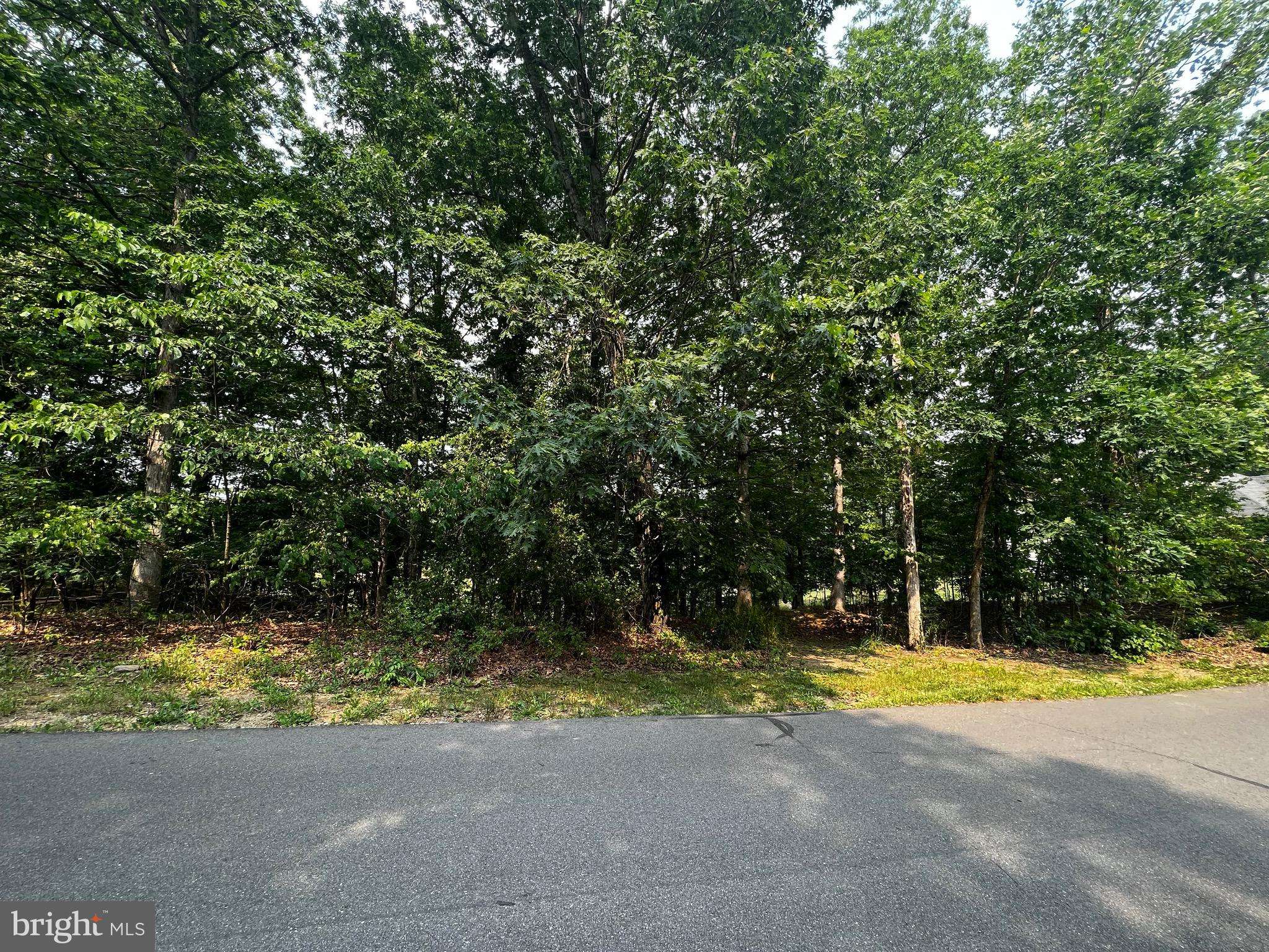 Ridgeley, WV 26753,LOT 67 N LAKEWOOD DR