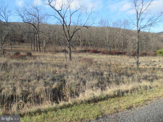 New Creek, WV 26743,1130 NANCY HANKS DR