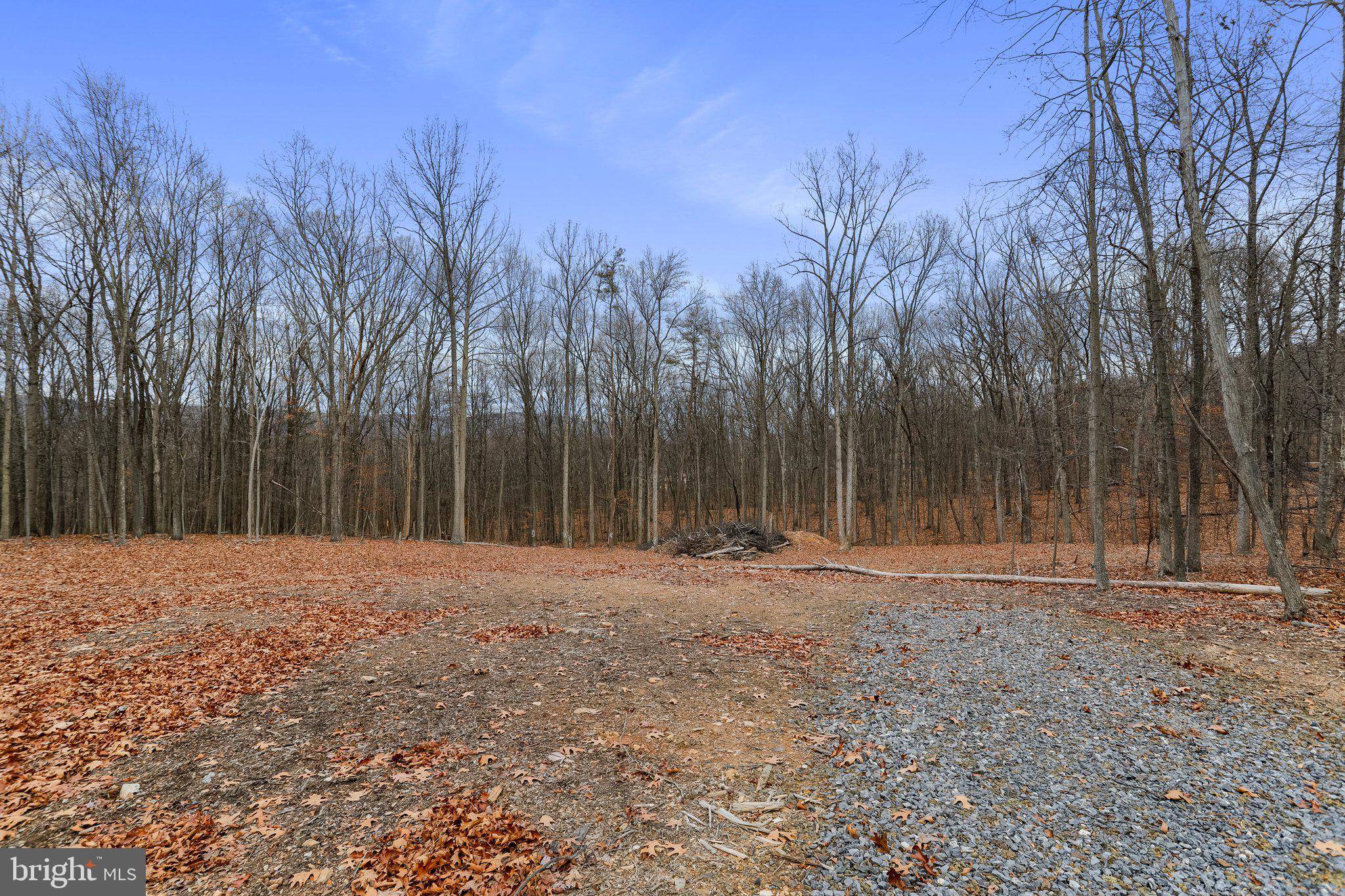 Gerrardstown, WV 25420,DRIFTWOOD EGRET