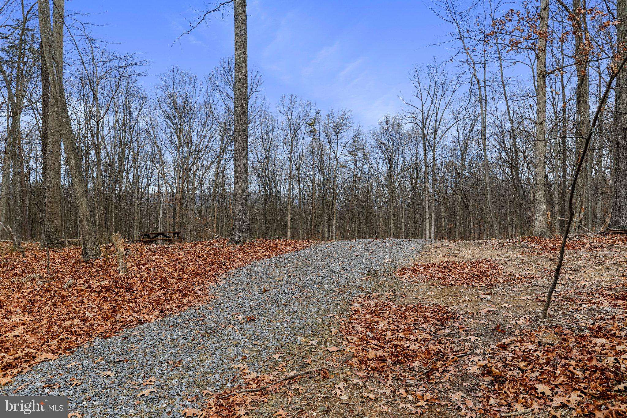 Gerrardstown, WV 25420,DRIFTWOOD EGRET