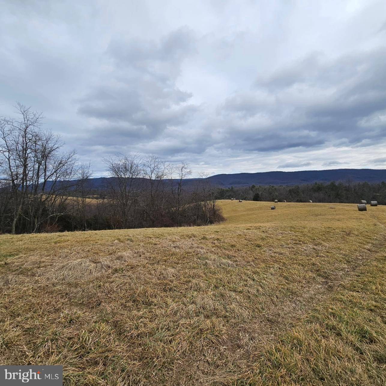 Mathias, WV 26812,RED BERRY RD