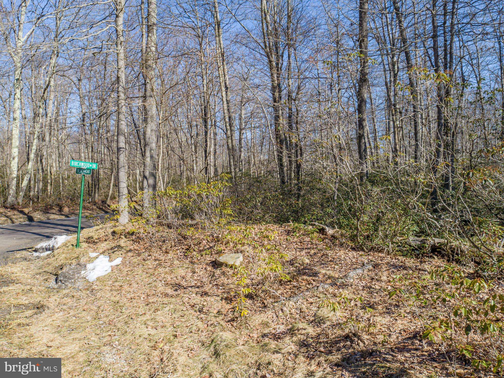 Oakland, MD 21550,LOT 59 BIRCHWOOD DR