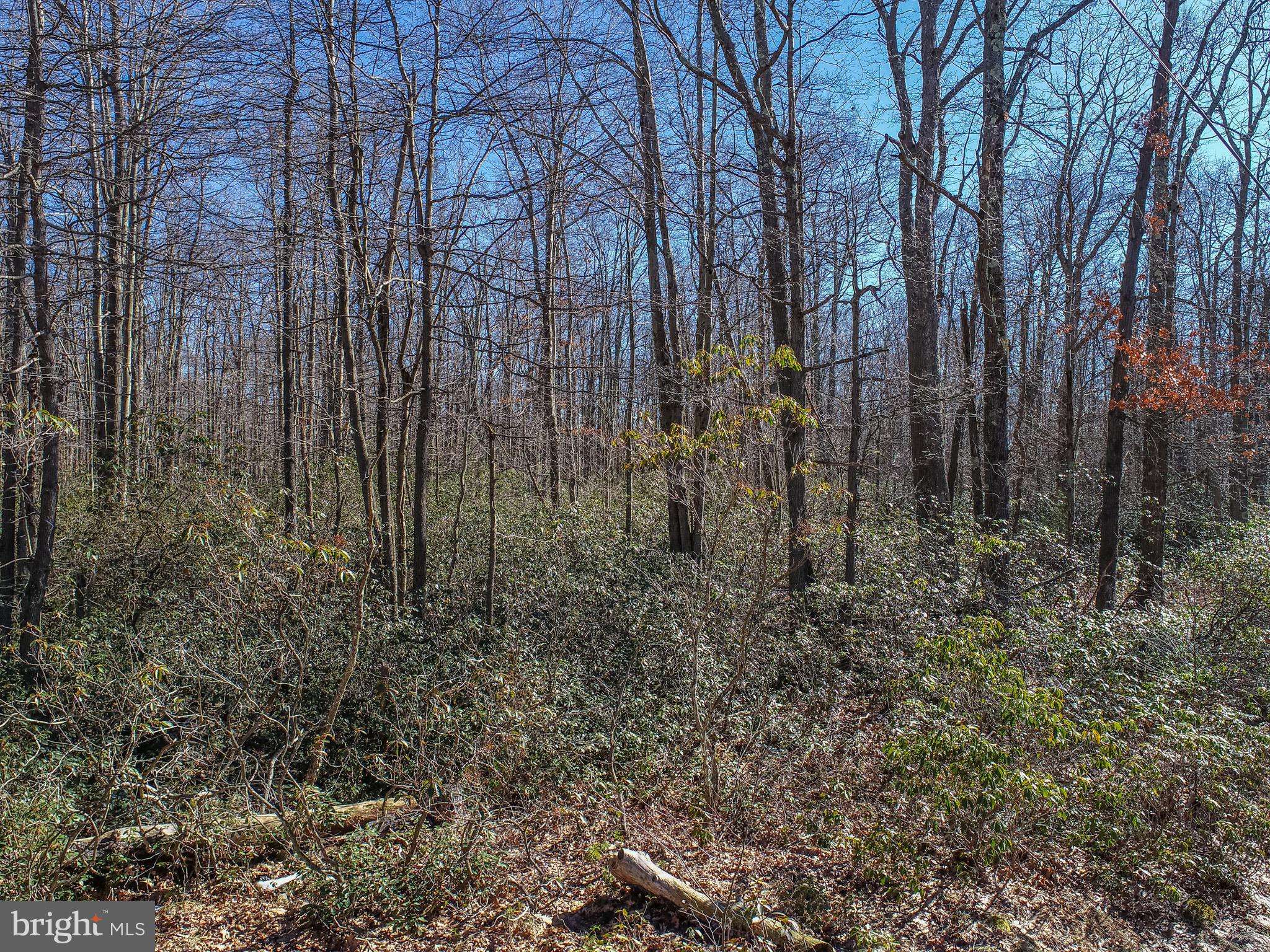 Oakland, MD 21550,LOT 58 BLACK OAK DR